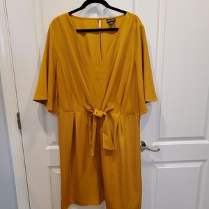 Kimono Sleeve Dress 20w